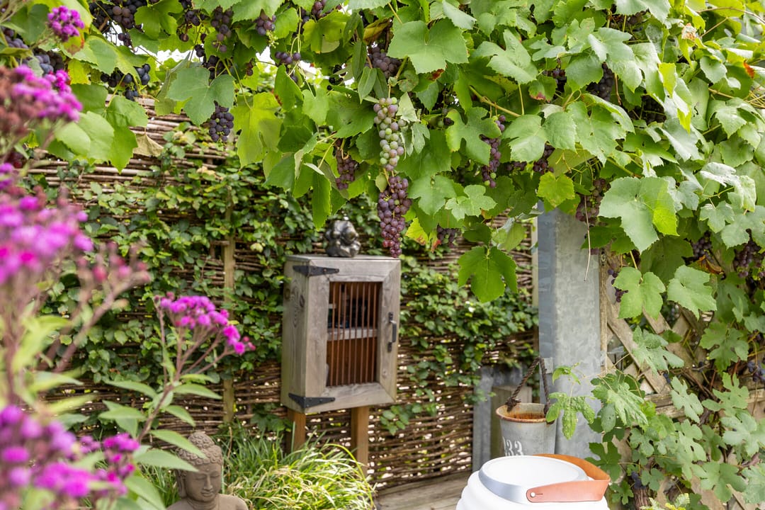 Foto 56 van Schokkencamp 2