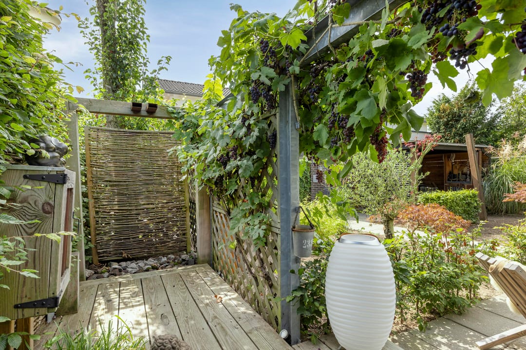 Foto 58 van Schokkencamp 2