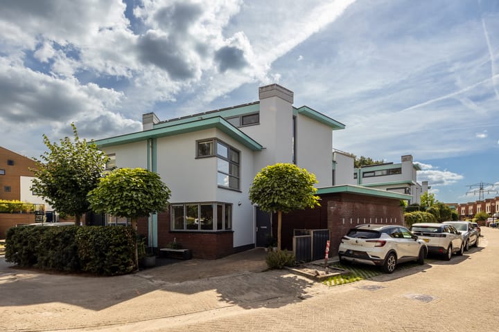 Foto 1 van Vuursalamander 3