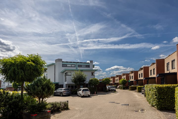 Foto 2 van Vuursalamander 3