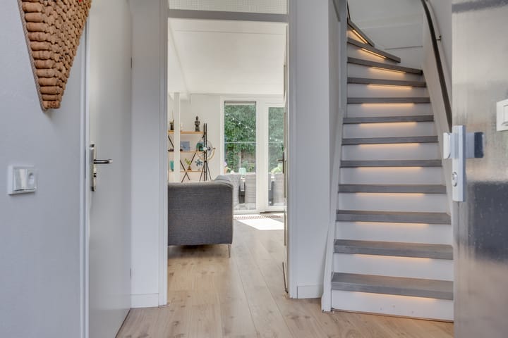 Foto 3 van Vuursalamander 3