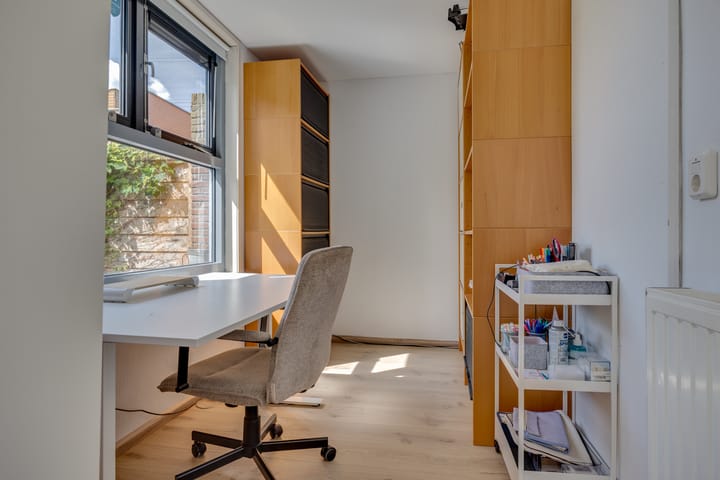 Foto 8 van Vuursalamander 3