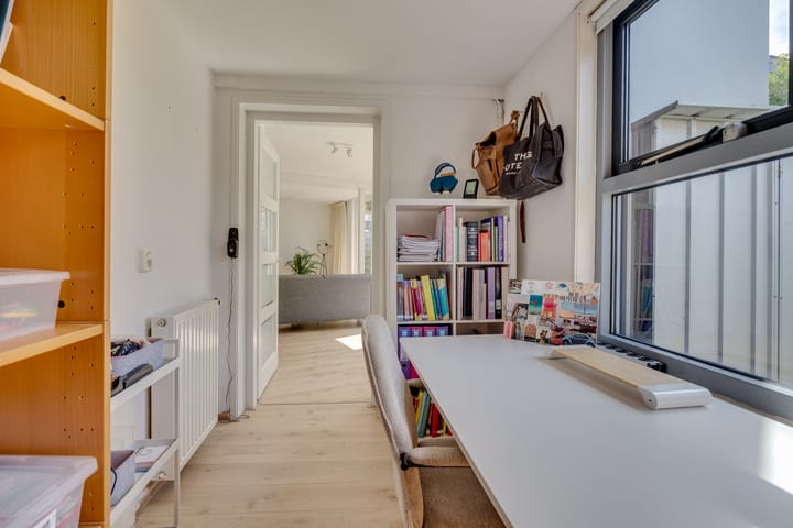 Foto 9 van Vuursalamander 3