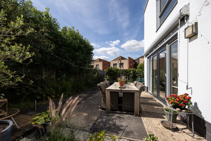 Foto 21 van Vuursalamander 3