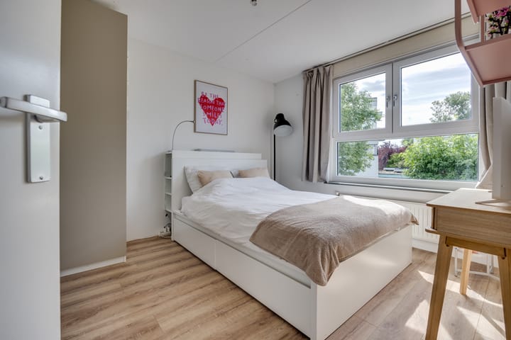 Foto 25 van Vuursalamander 3