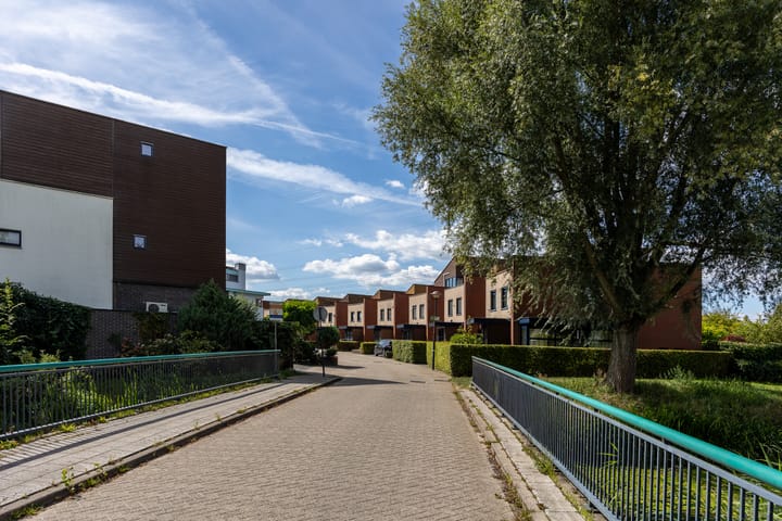 Foto 37 van Vuursalamander 3