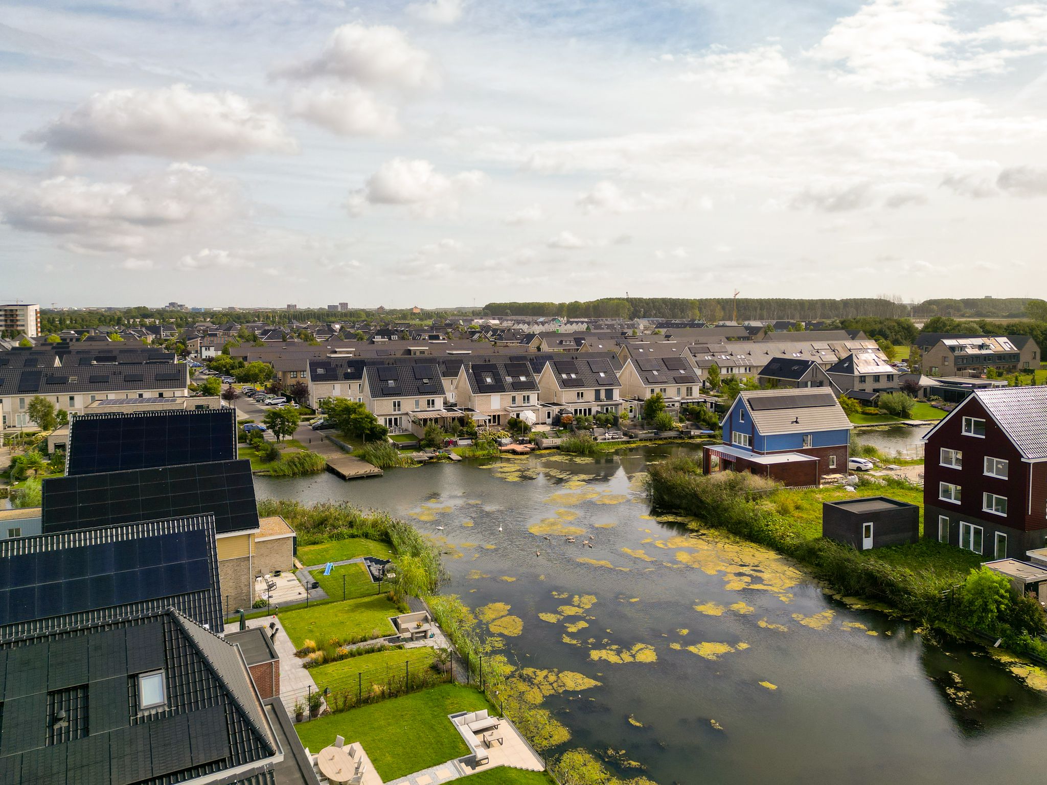 Foto 6 van Penningkruidstraat 18