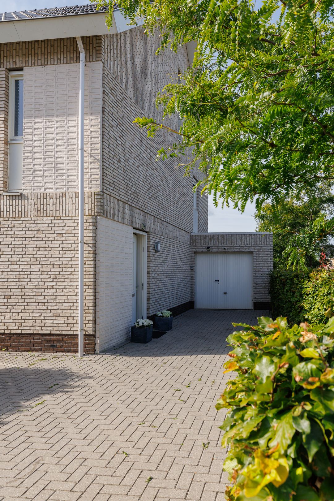 Foto 8 van Penningkruidstraat 18