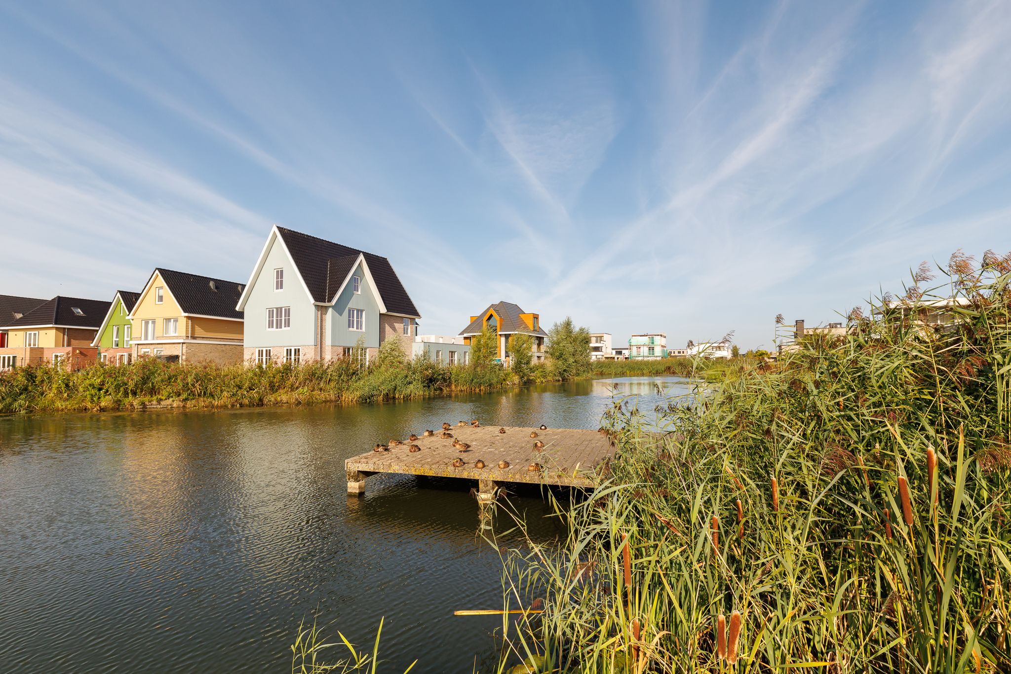 Foto 39 van Penningkruidstraat 18