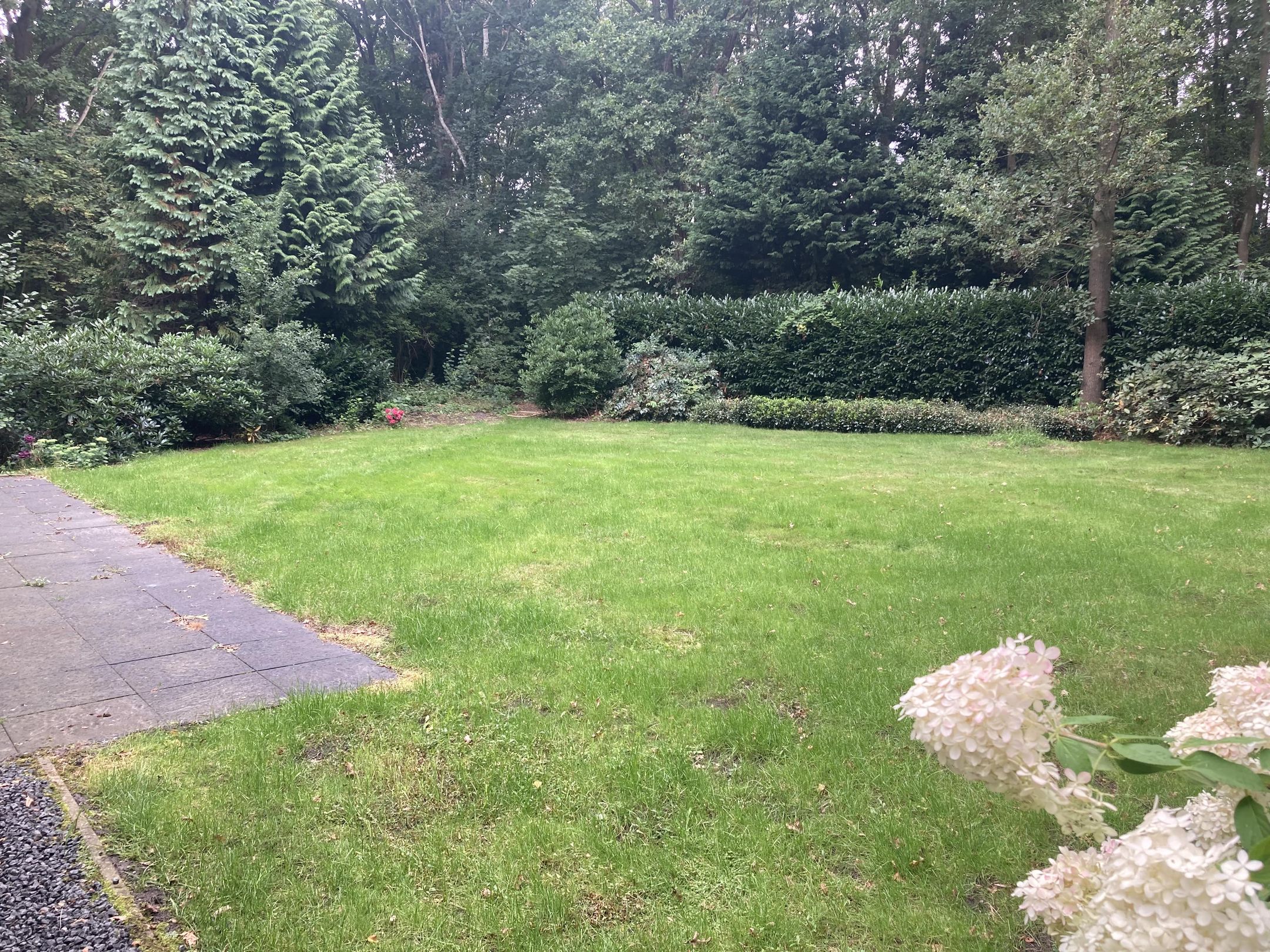 Foto 9 van Sprundelsebaan 176