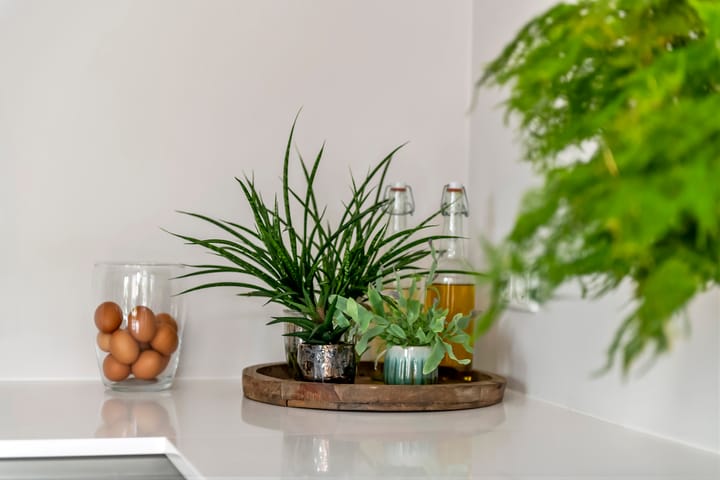 Photo 24 of Fibula 6