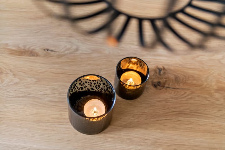 Photo 35 of Fibula 6