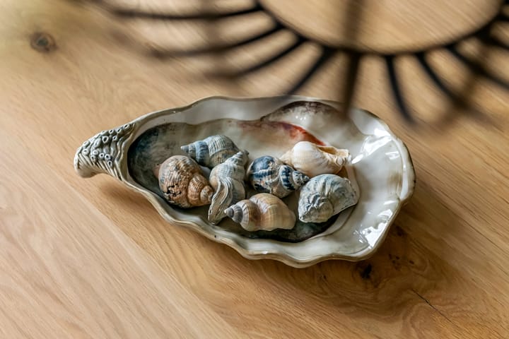 Photo 37 of Fibula 6