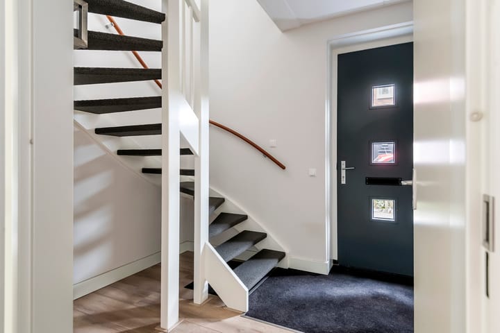 Photo 38 of Fibula 6