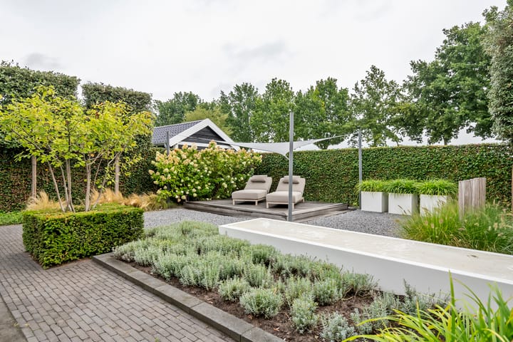 Photo 61 of Fibula 6