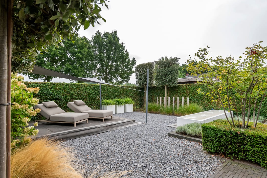 Foto 62 van Fibula 6