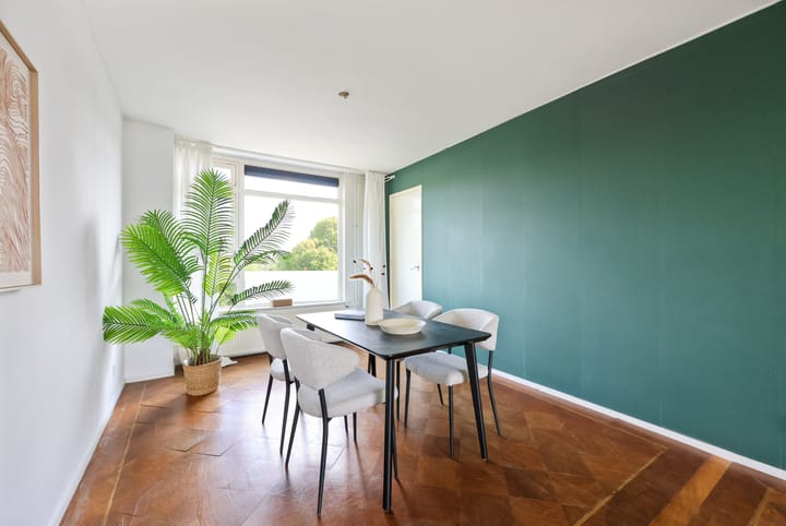 Foto 11 van Tolsteegplantsoen 34-3