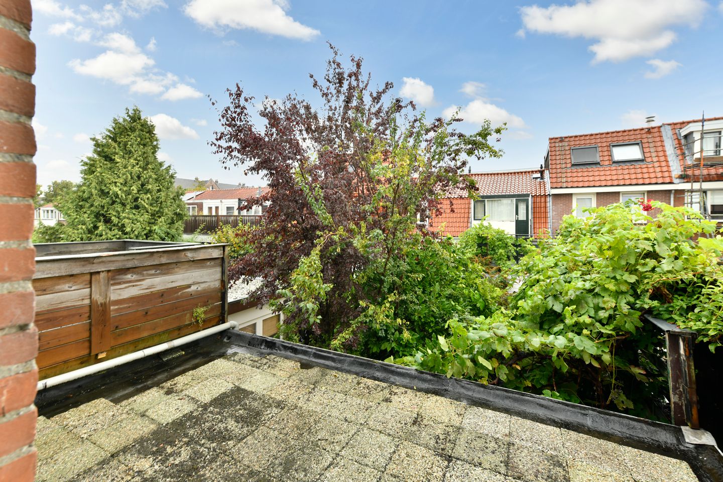 Foto 20 van Jan Steenstraat 47