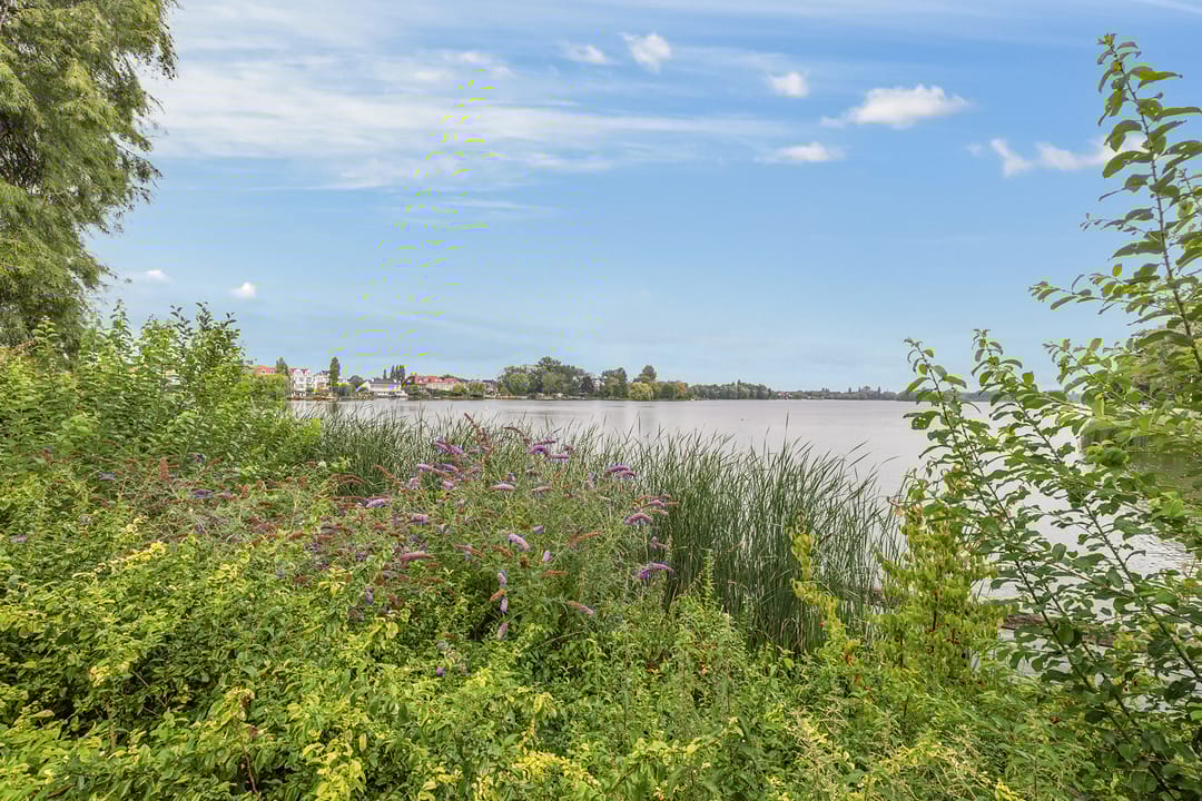 Photo 31 of Willem van Hillegaersbergstraat 117-C