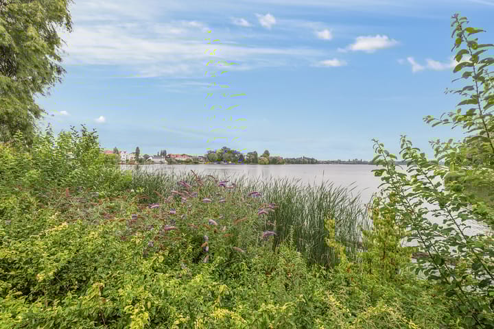 Foto 31 van Willem van Hillegaersbergstraat 117-C