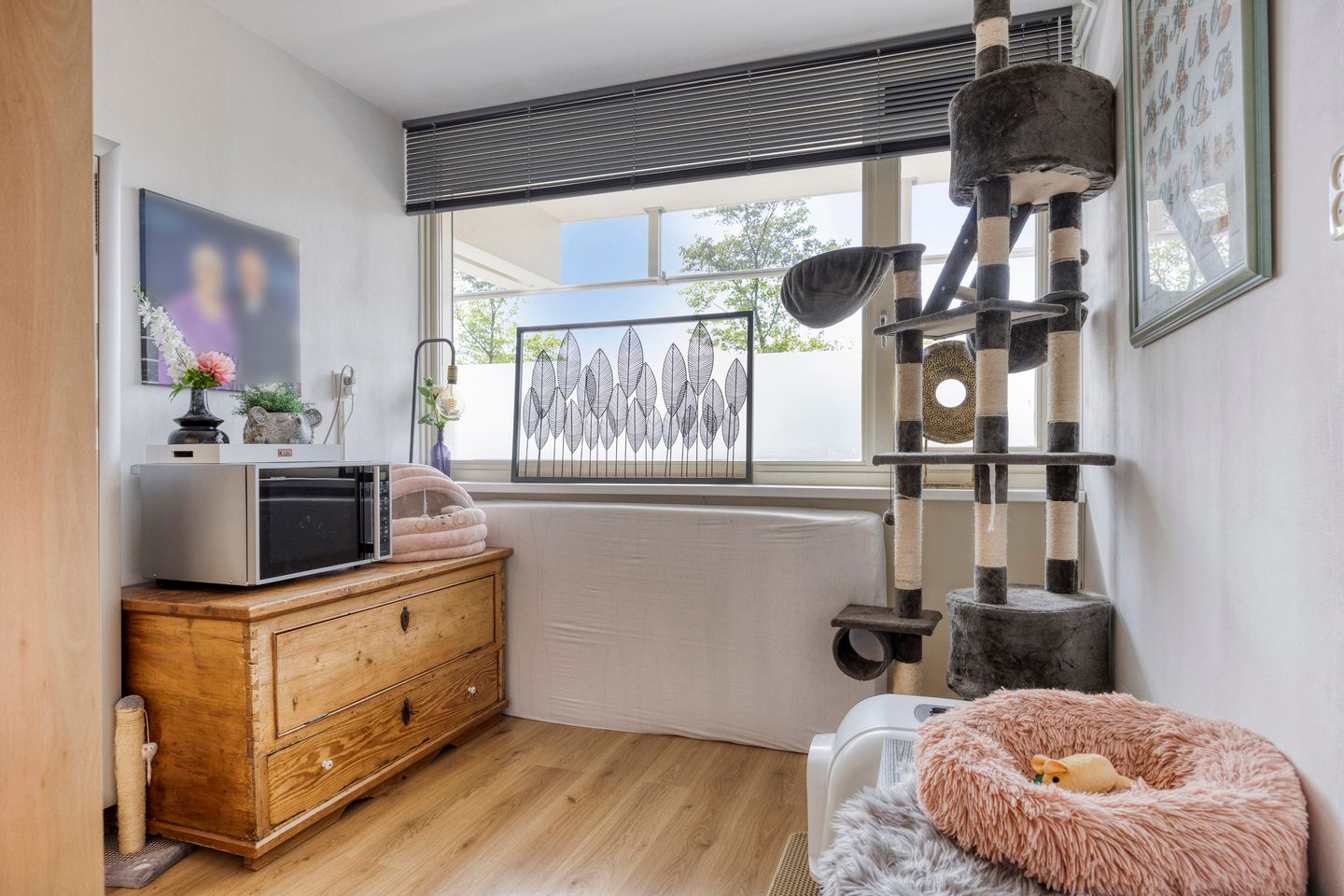 Foto 19 van Leeuwstraat 8