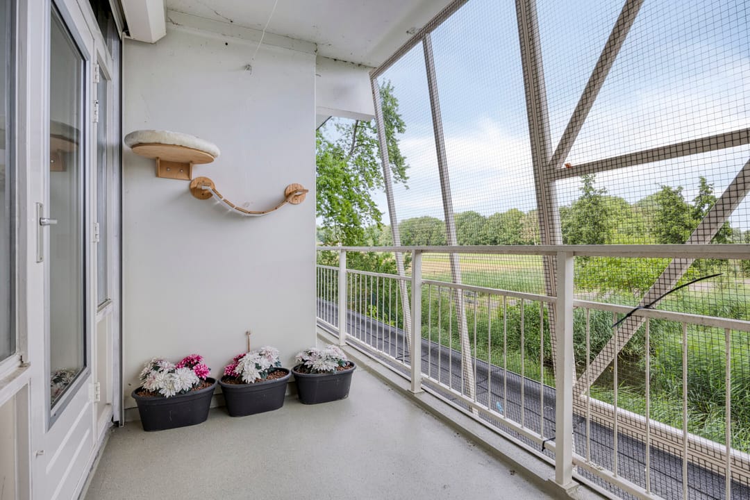 Foto 22 van Leeuwstraat 8