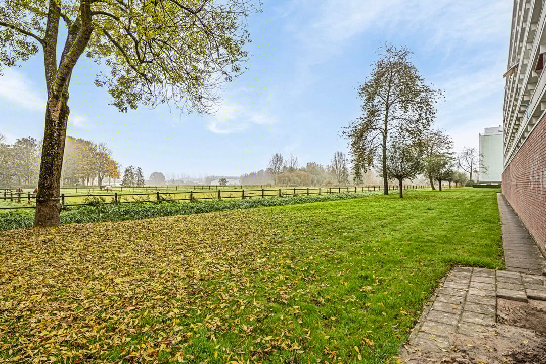 Foto 23 van Leeuwstraat 8