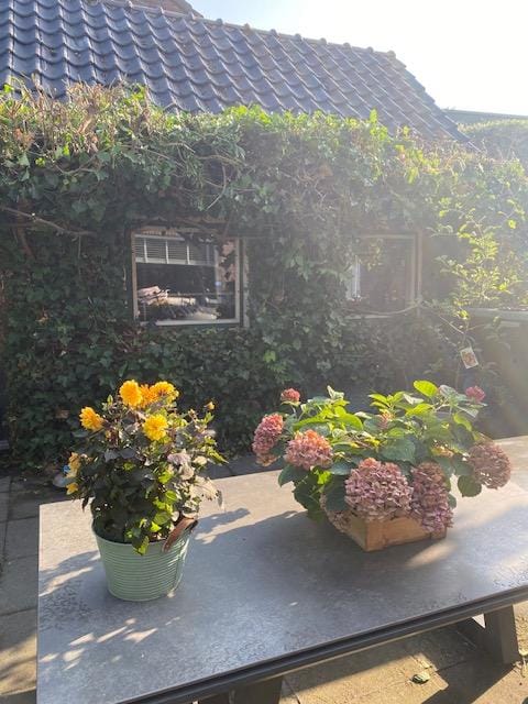 Foto 50 van Pilgrimstraat 12