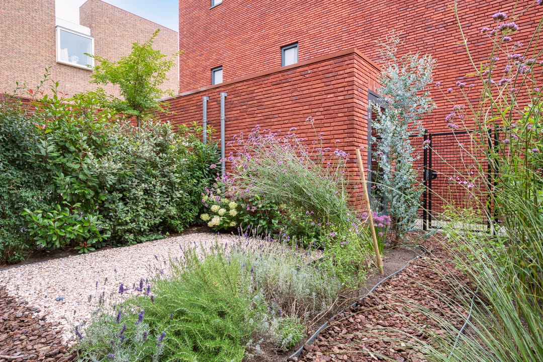 Foto 17 van Abrahamslook 65