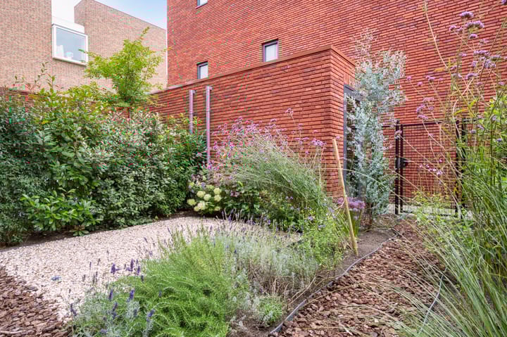 Foto 17 van Abrahamslook 65