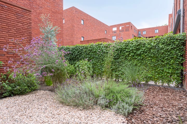 Foto 18 van Abrahamslook 65