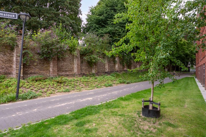 Foto 37 van Abrahamslook 65