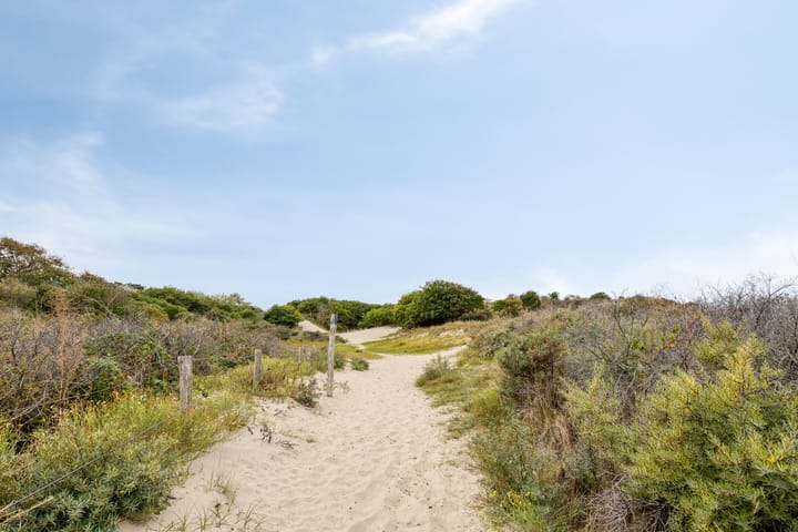 Foto 33 van Walchersestraat 112