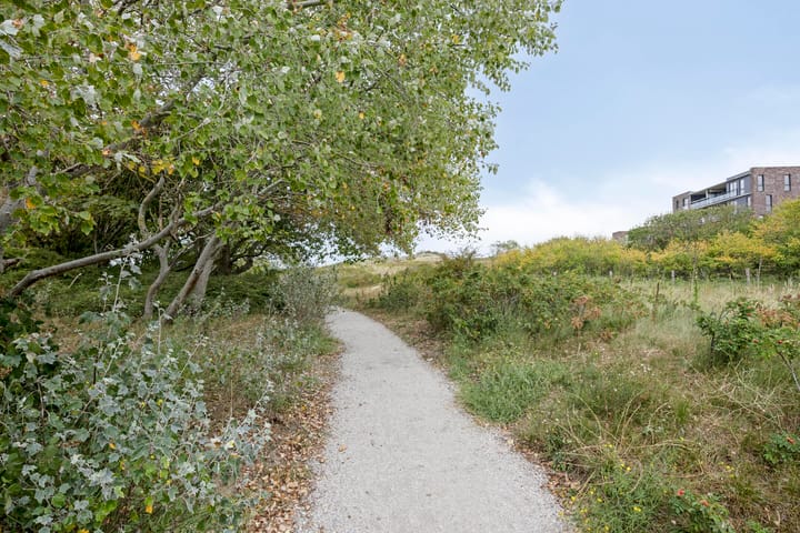 Foto 35 van Walchersestraat 112