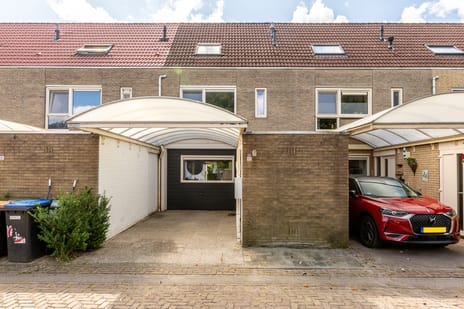 undefined main image