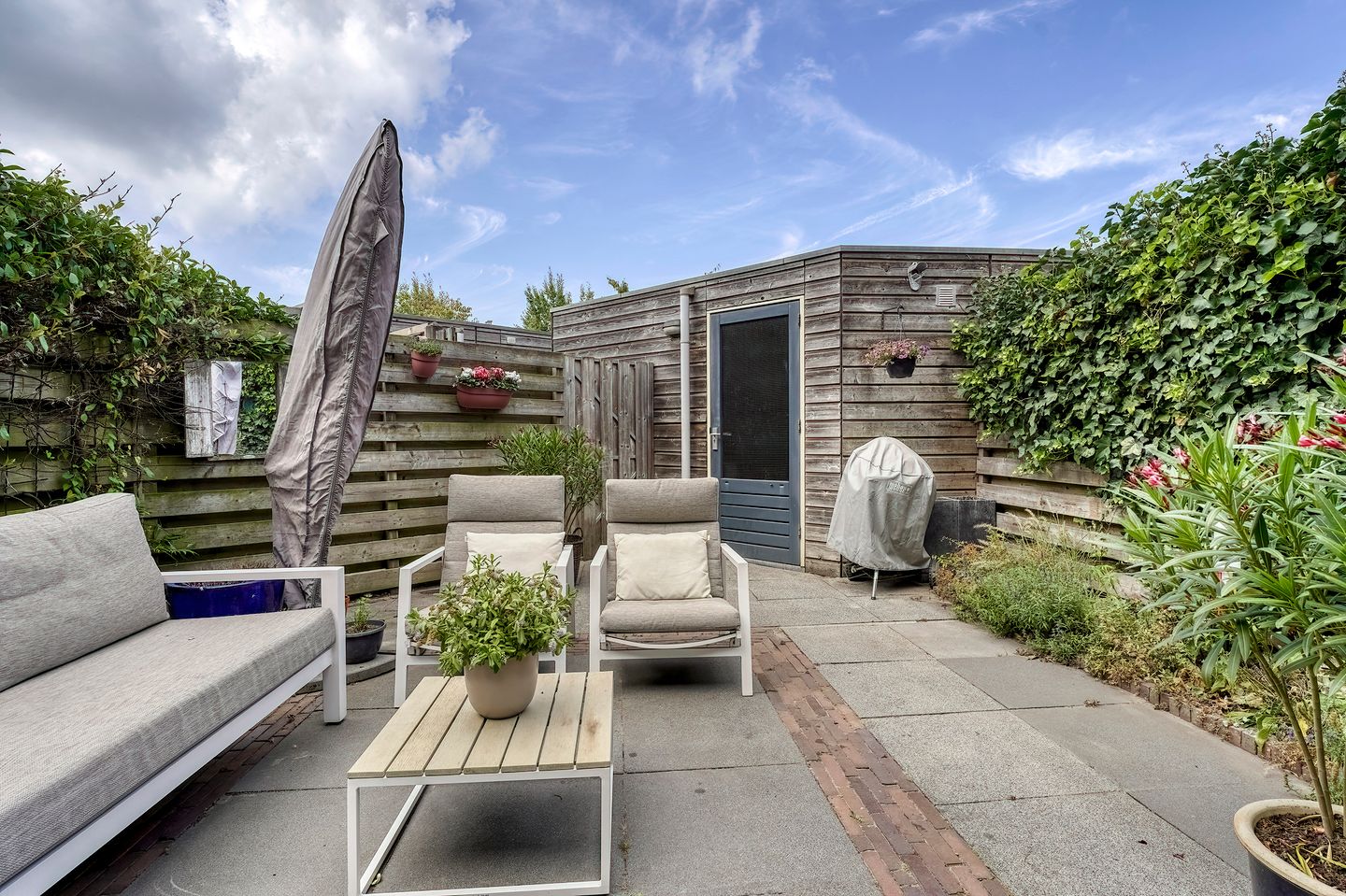 Foto 25 van Akkerklokje 25