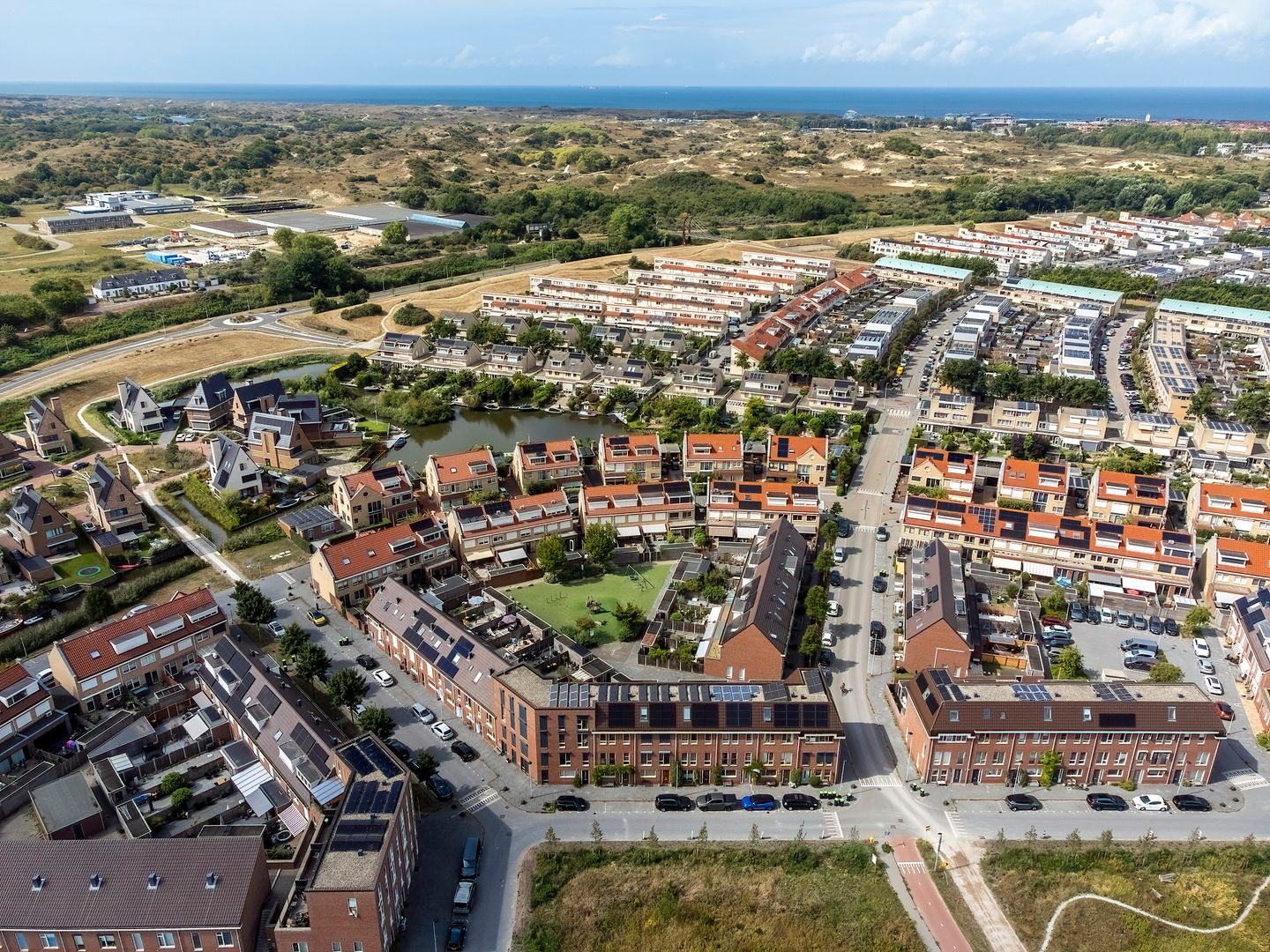 Foto 44 van Akkerklokje 25