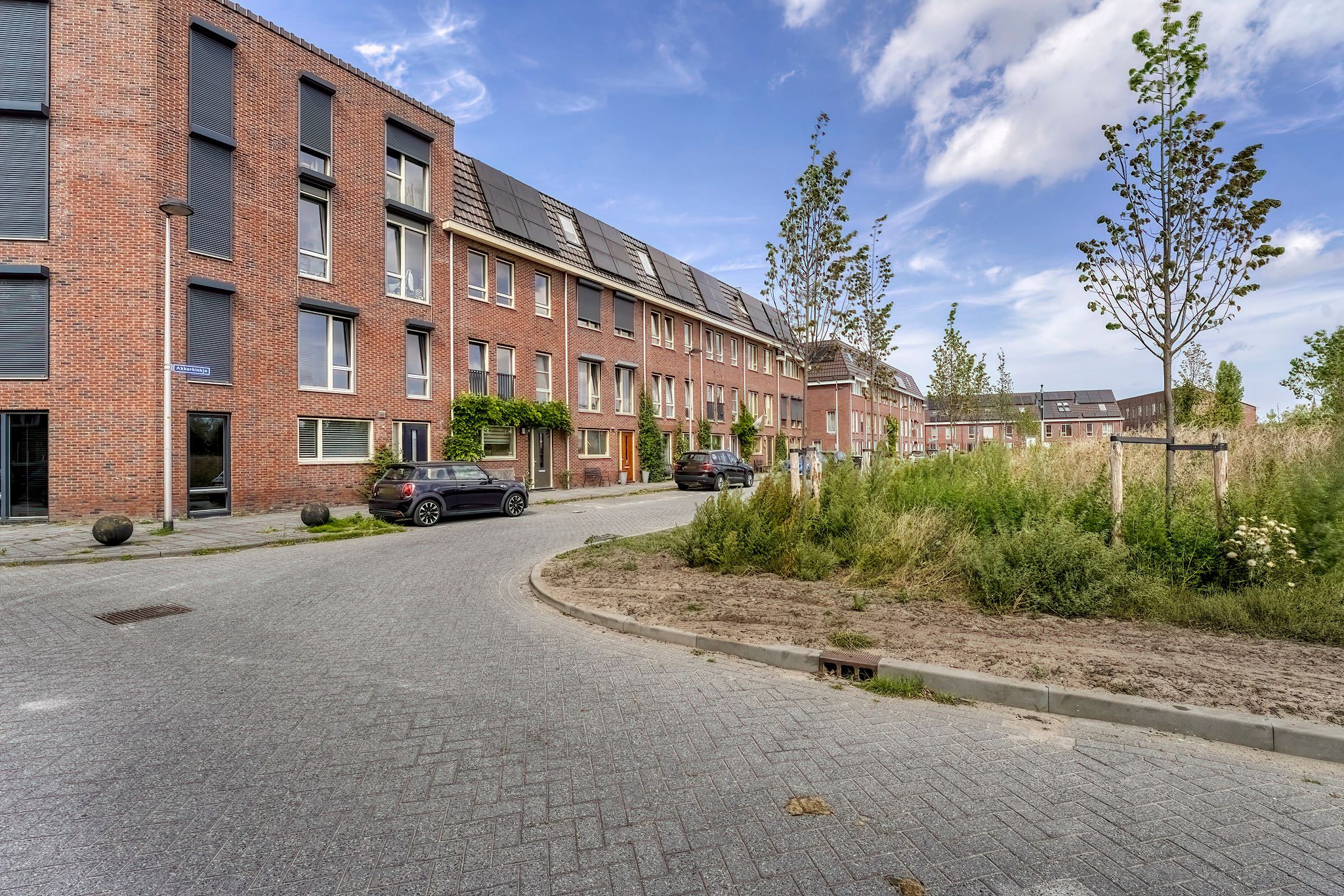 Foto 45 van Akkerklokje 25