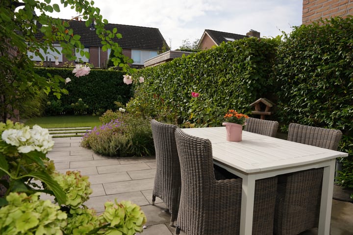 Foto 41 van Regulus 8