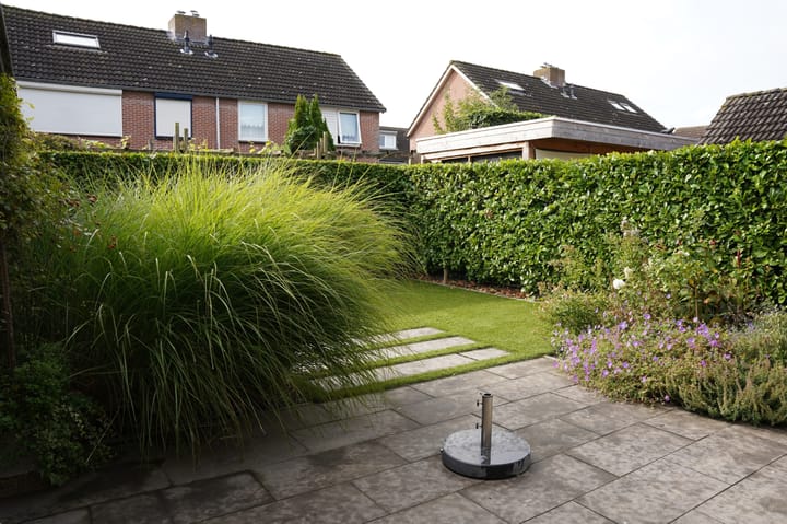 Foto 42 van Regulus 8