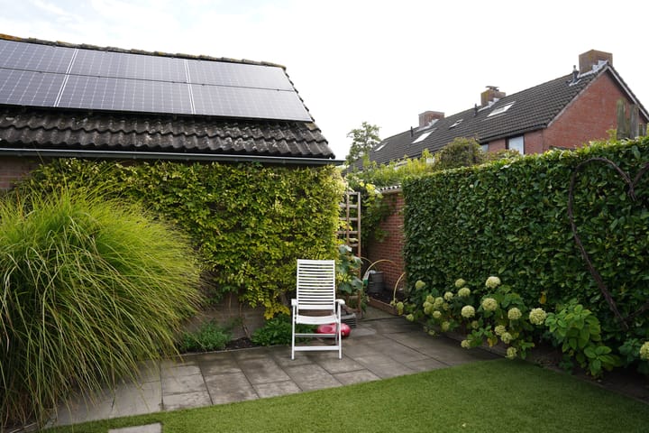 Foto 44 van Regulus 8