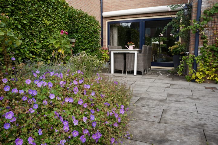 Foto 46 van Regulus 8