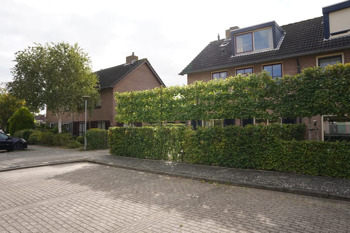 Foto 51 van Regulus 8