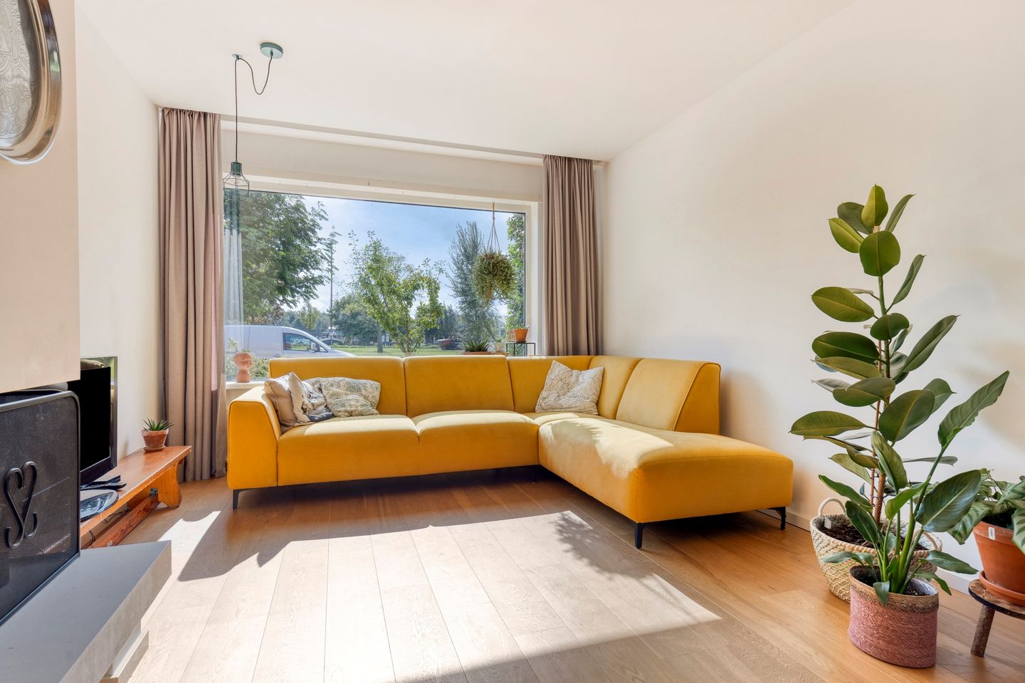 Foto 10 van Frans Halsplantsoen 217