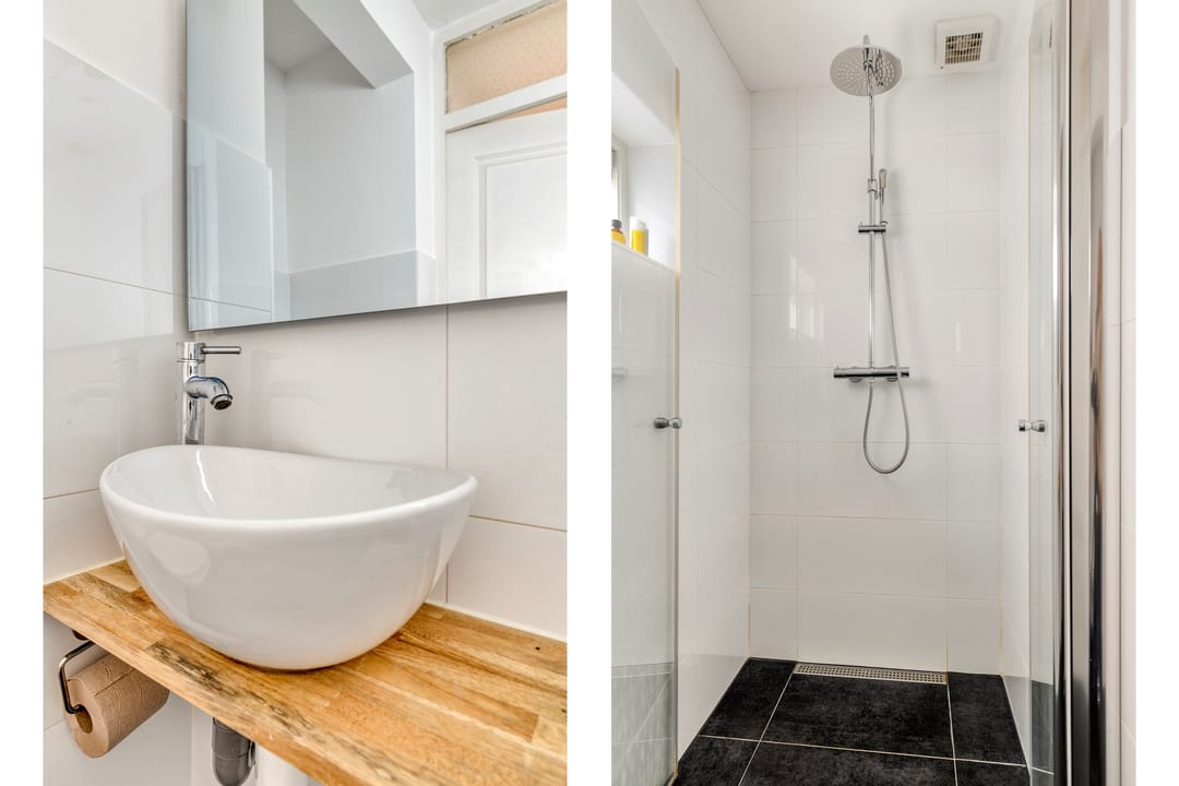 Foto 17 van Frans Halsplantsoen 217