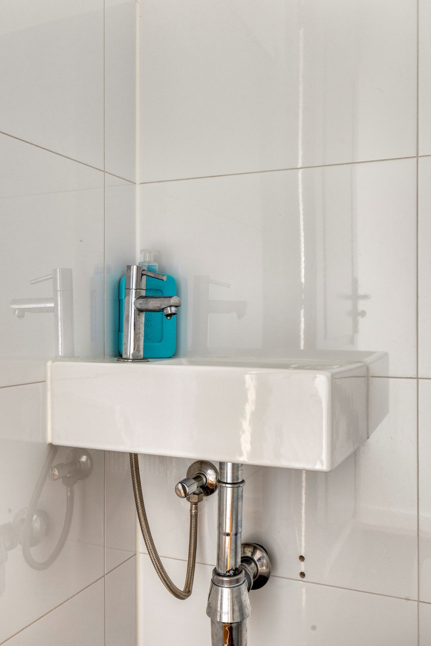 Foto 19 van Frans Halsplantsoen 217