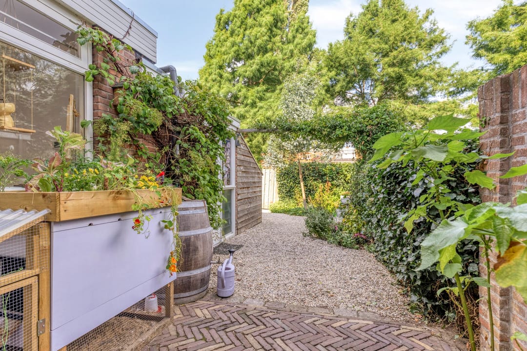 Foto 31 van Frans Halsplantsoen 217