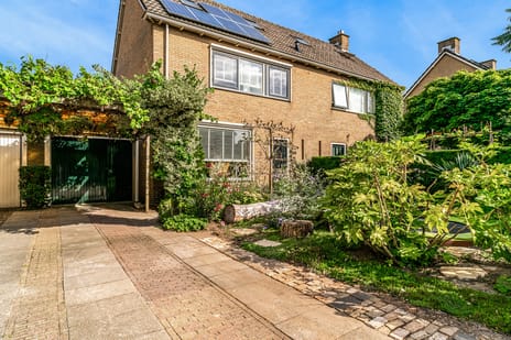 undefined main image