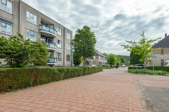 Foto 2 van Boekweitakker 26