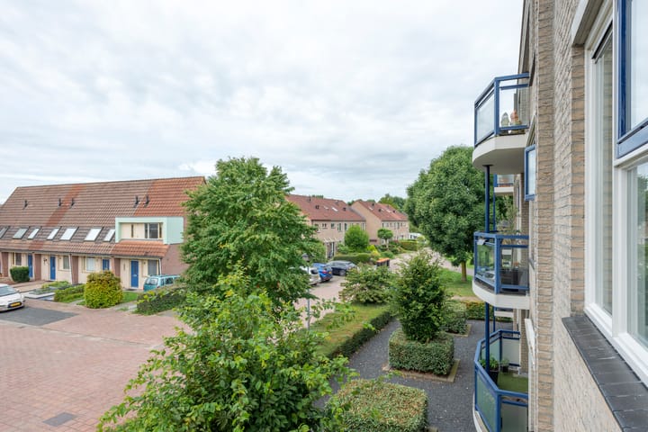 Foto 36 van Boekweitakker 26